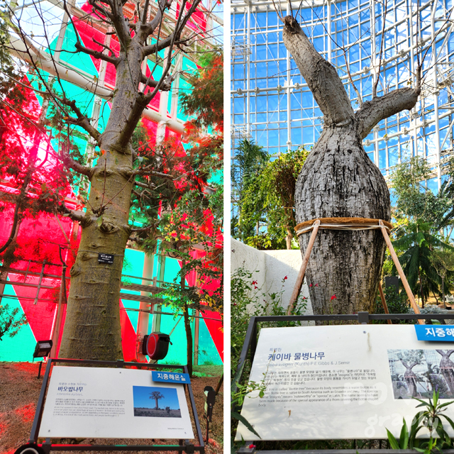 국립세종수목원