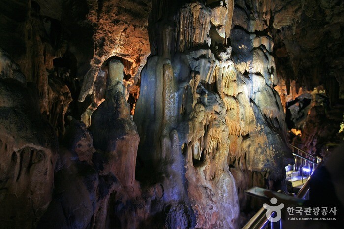 울진 성류굴 입장료 운영시간
