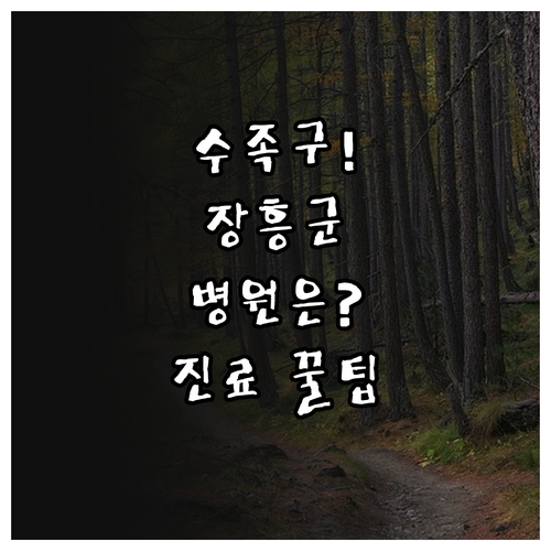 장흥군 수족구 질환 정보와 병원 진료..