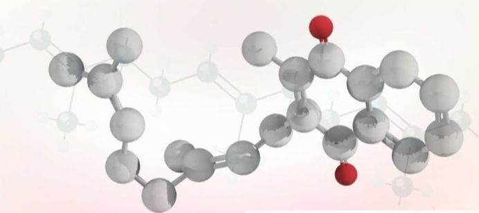 비타민 K2 관련 사진 예시