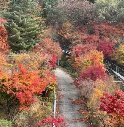 화담숲 입장료 예약