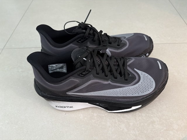 나이키 줌 플라이6