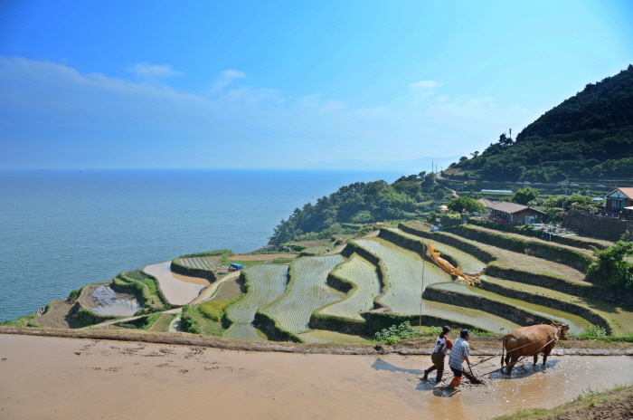 2026 남해 반값여행