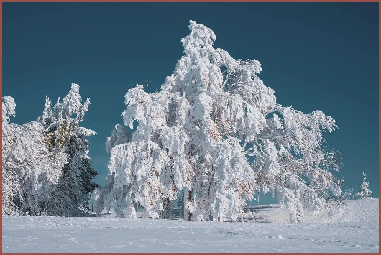 정기예금 이율높은곳