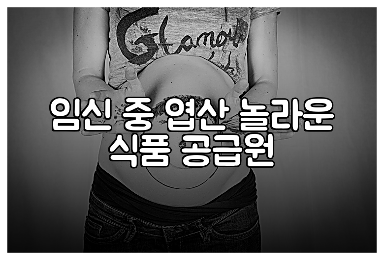 임신 중 엽산 놀라운 식품 공급원