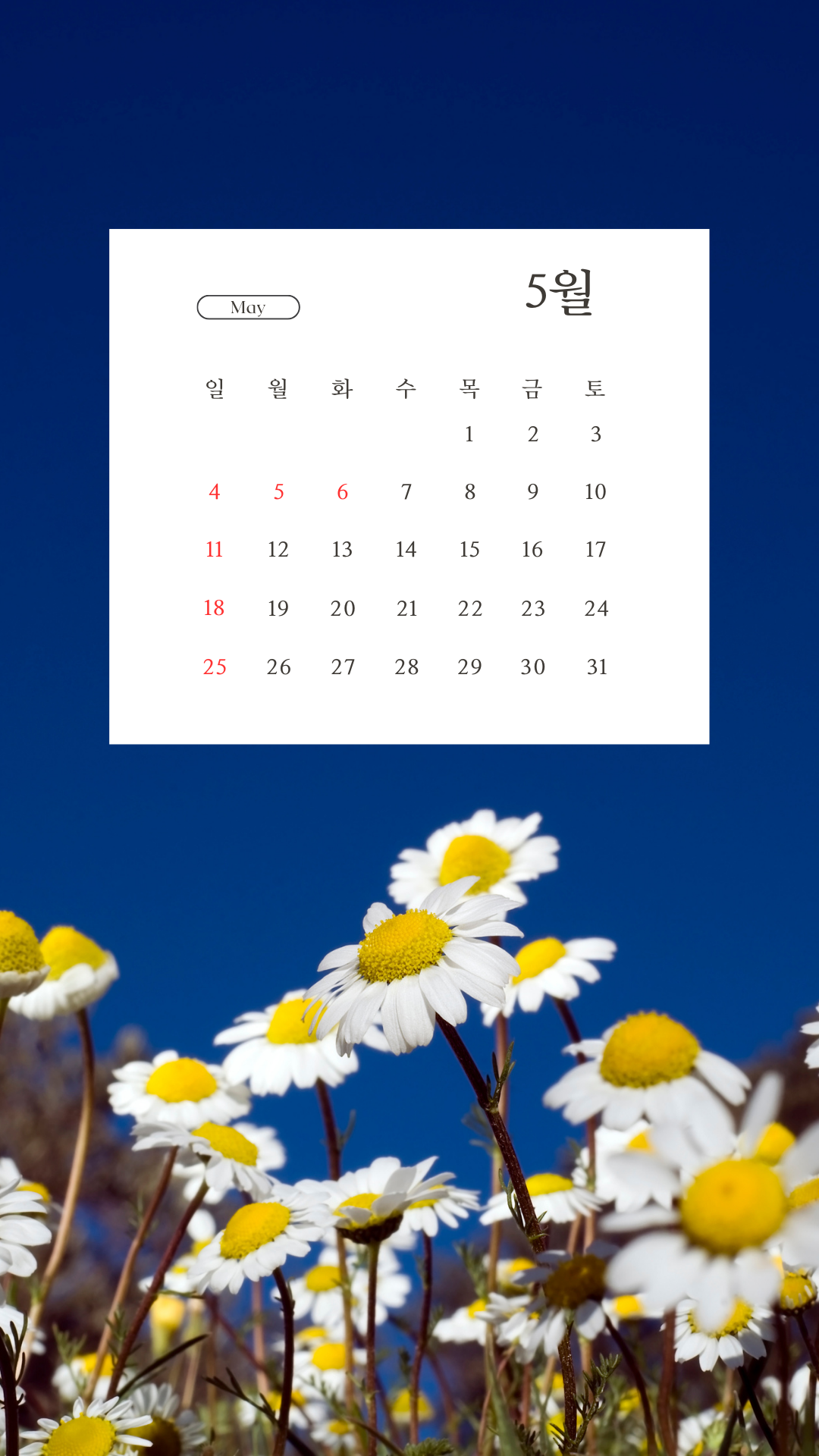 2025년 5월 달력 스마트폰 배경화면 이미지 그림 사진 모음