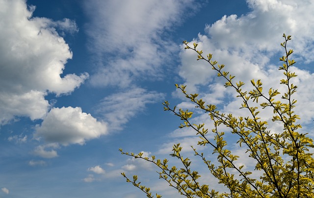 2023년 3월 4월 5월 3개월 날씨 전망5