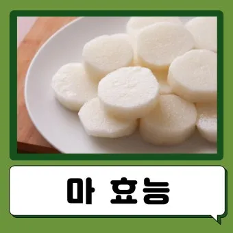마 효능 보관법 먹는법 마즙 만들기까지 종합 가이드_4