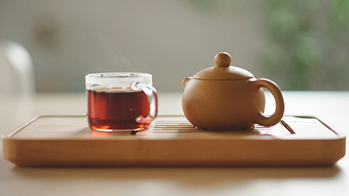 미세먼지 배출에 도움이 되는 차 추천