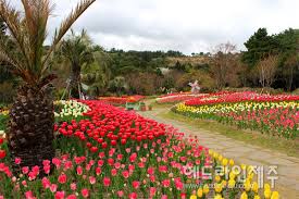 4월 제주도 가볼만한 곳 10곳