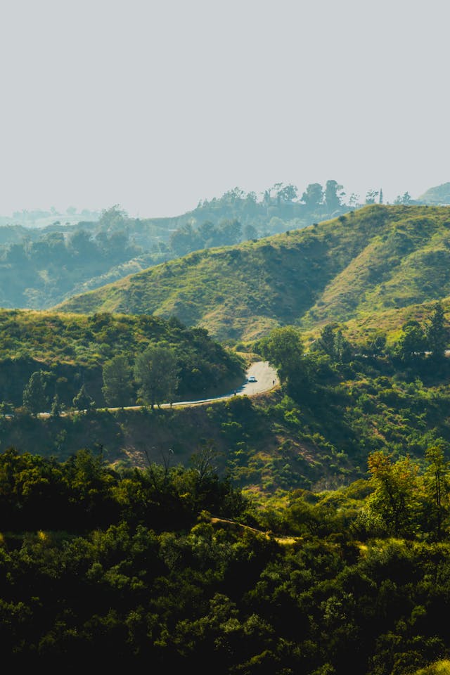 2025년 8월 16일-8월 22일 전국 날씨 예보2