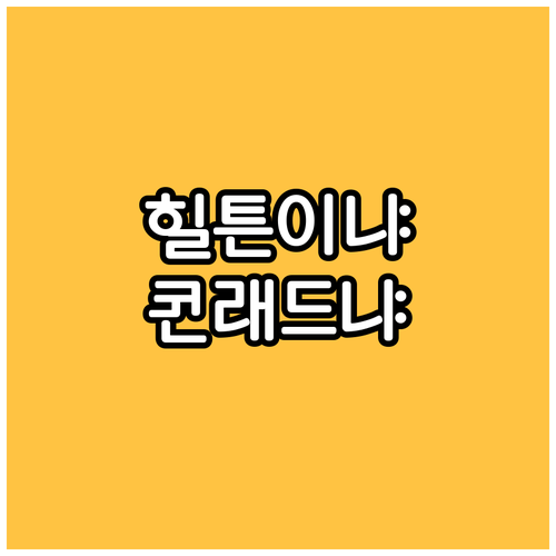 더블린 인기 호텔! 힐튼 vs 콘래드