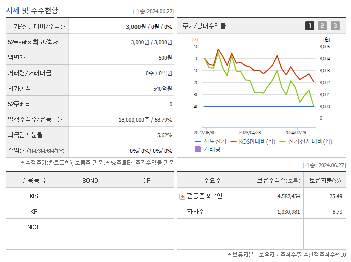 선도전기_기업개요