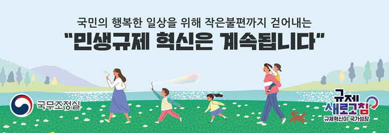 민생규제 혁신방안