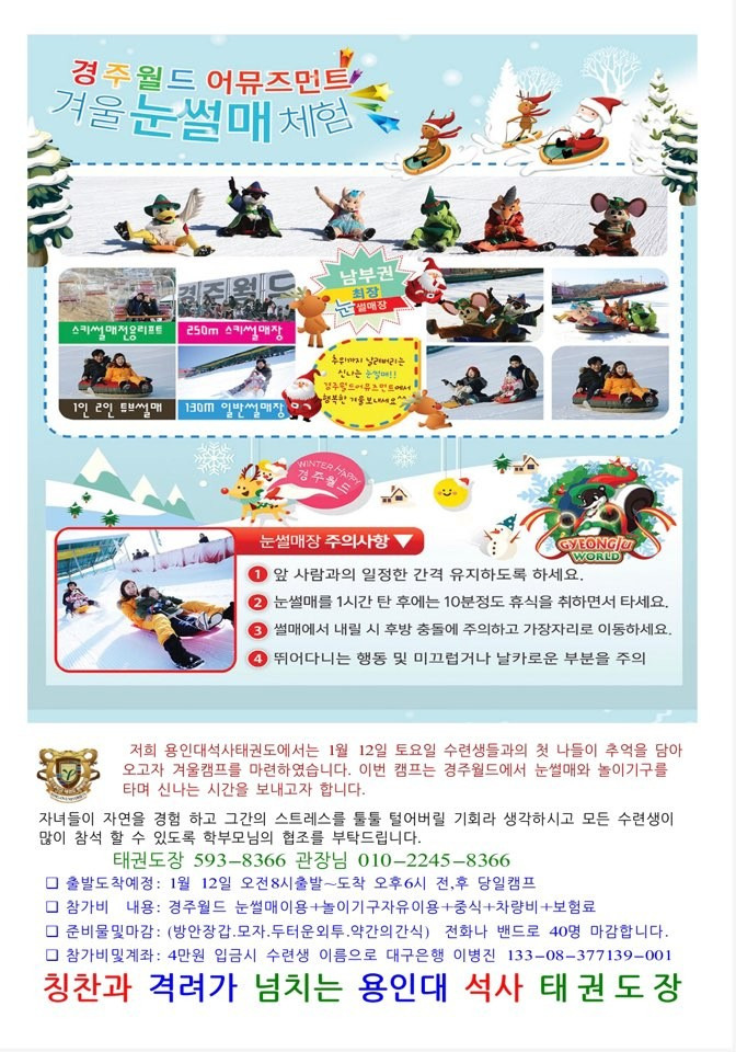 용인대석사태권도