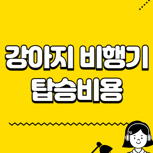 강아지 비행기 탑승비용