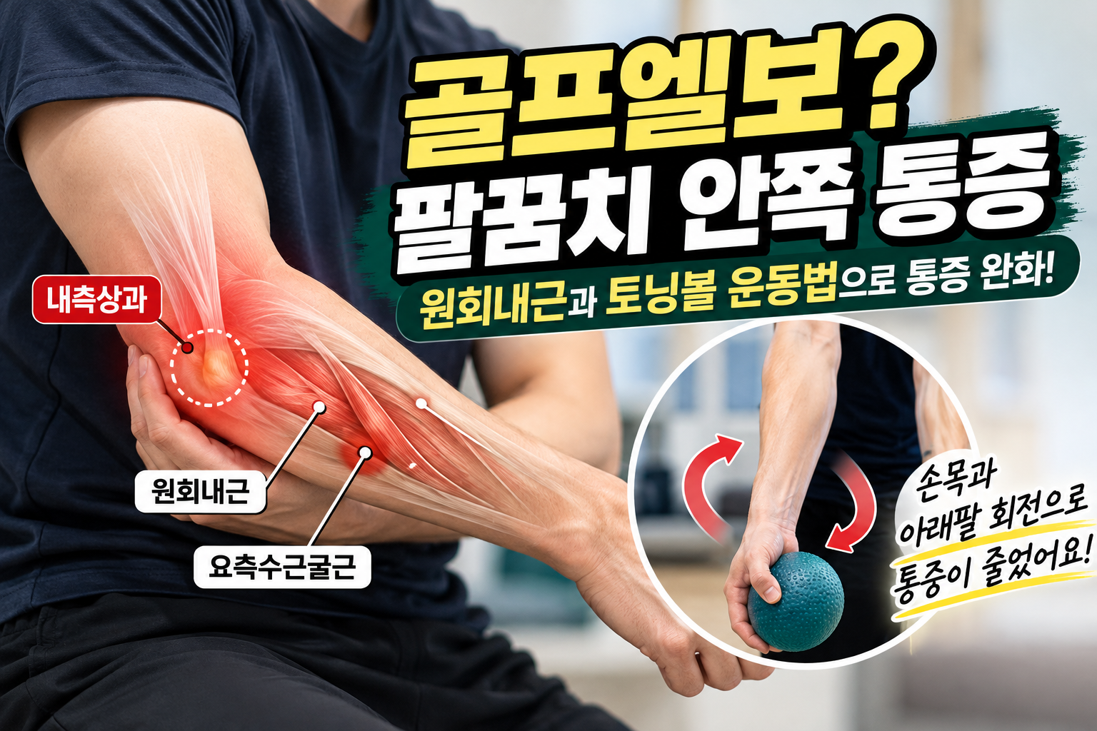 골프엘보 팔꿈치 안쪽 통증 원인｜원회내근과 토닝볼 운동법