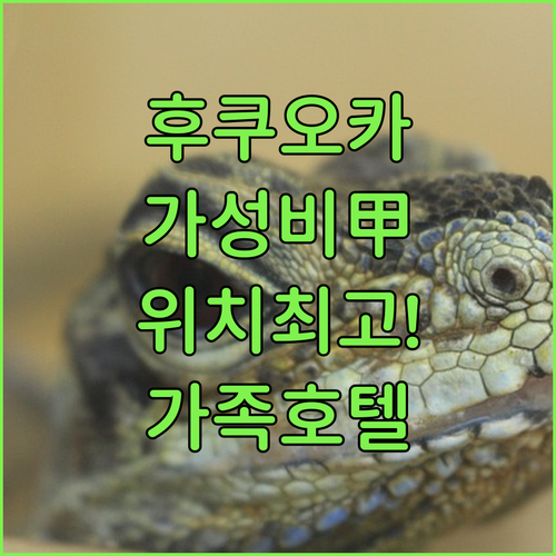 직접 가본 투숙객이 만족한 후쿠오카 ..