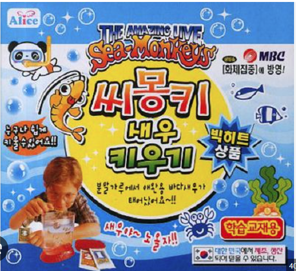 다이소 씨몽키 키우는 방법 - 먹이, 수명, 기르는 법