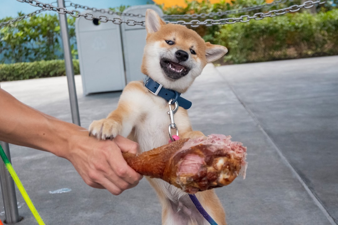 Approval
