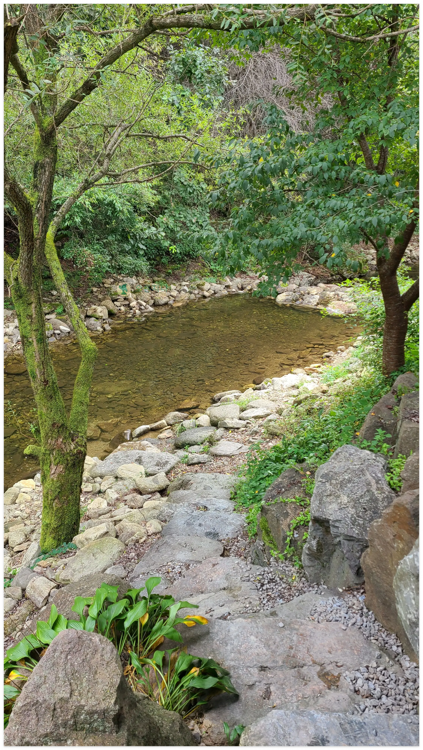 제천-의림지-명암-죽촌원두막-낮은계곡