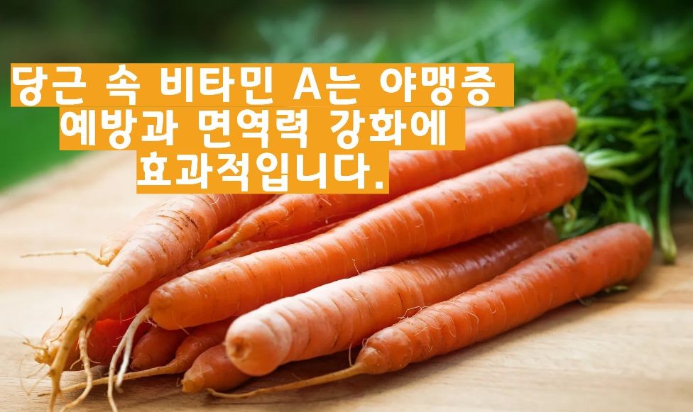 당근 효능 부작용 이미지