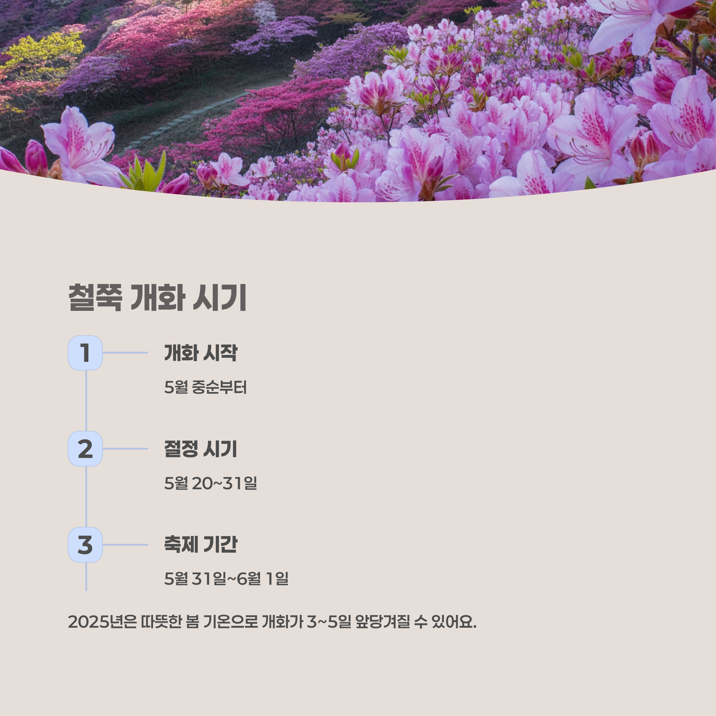 철쭉 개화시기와 절정