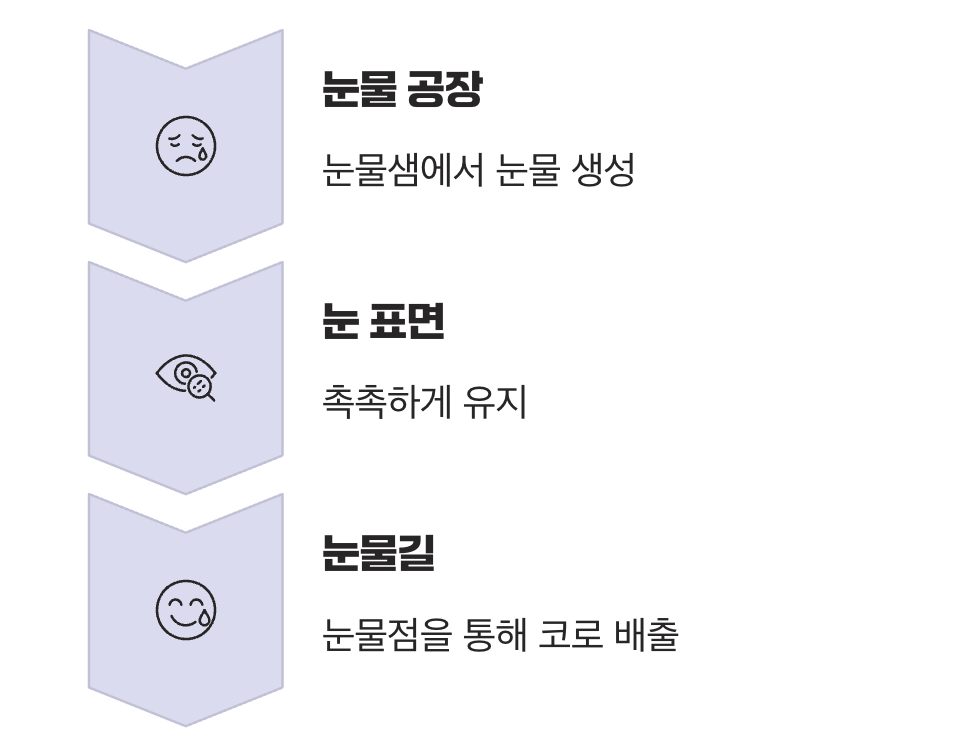 우리 눈의 눈물 시스템