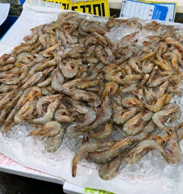 자연산-대하-태안-백사장시장-은성수산