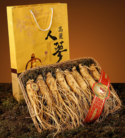 인삼의 모습