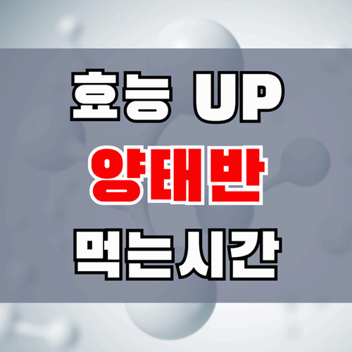 양태반 콜라겐 효능과 분말 먹는 시간