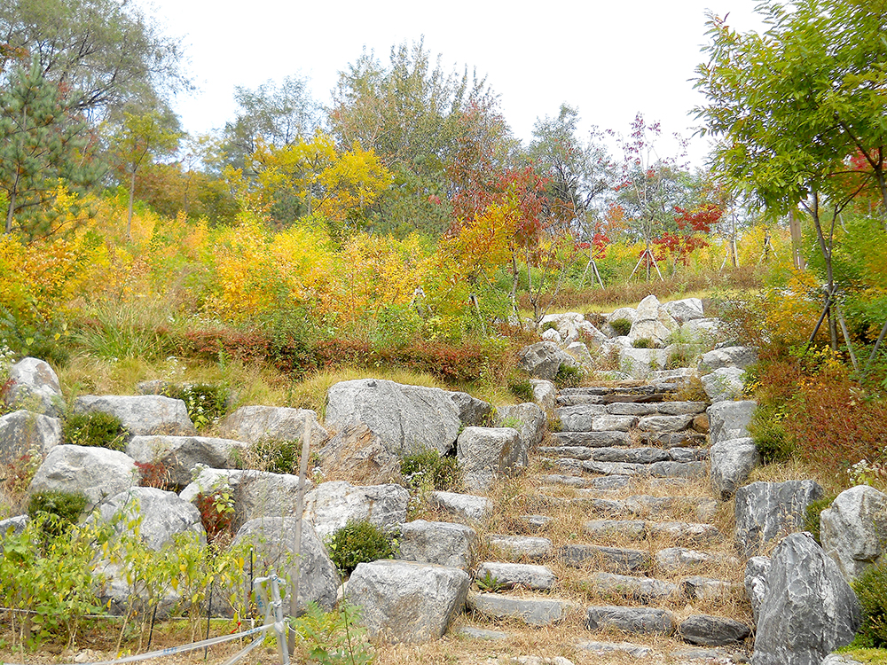 다이어트에 걷기 좋은 코스: 독립문(獨立門)에서 홍제동까지 안산자락길(Ansan Jarakgil)을 걷다