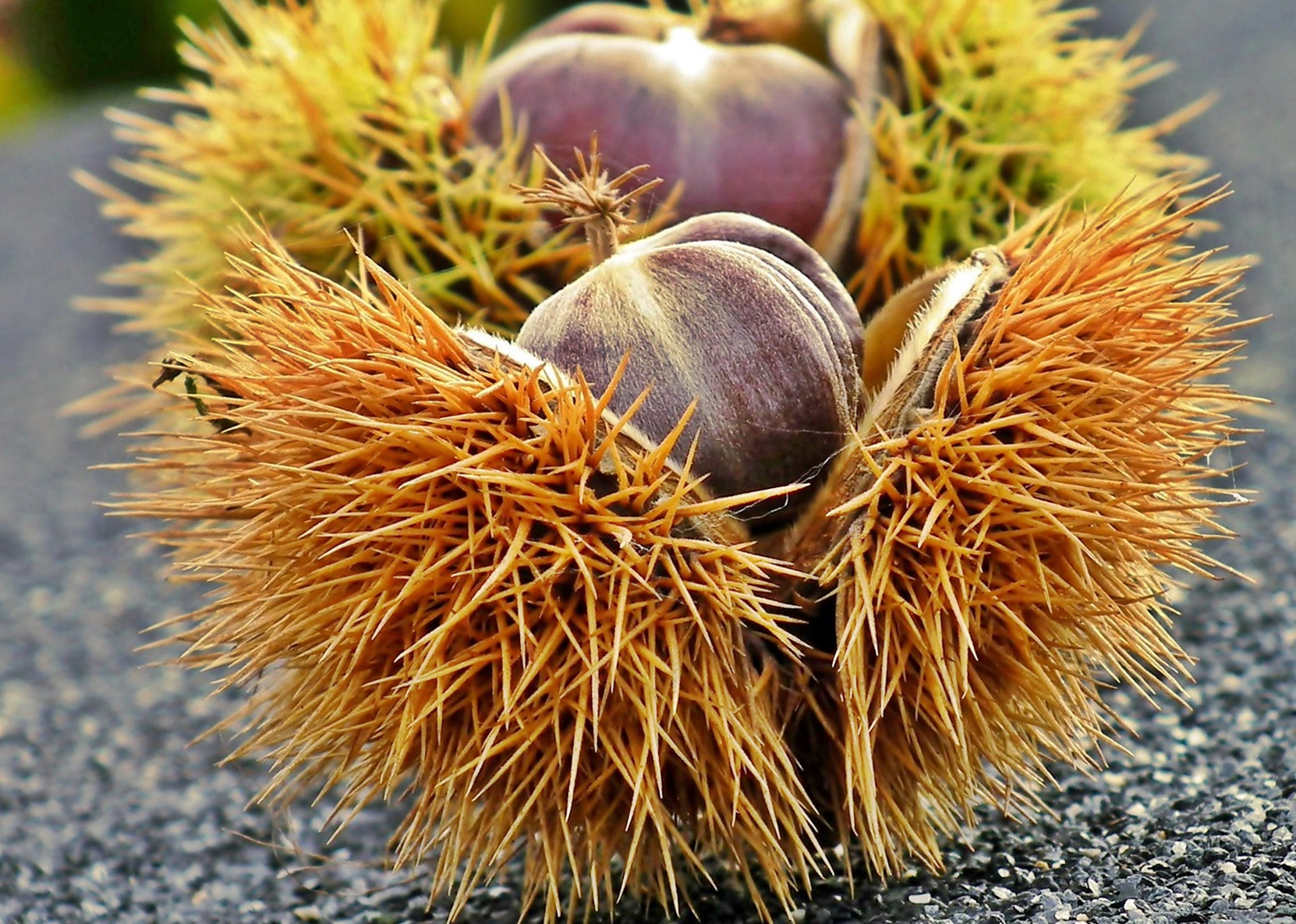 인슐린 치료가 필요한 2~30대 젊은 층 당뇨 급증하는 이유! 