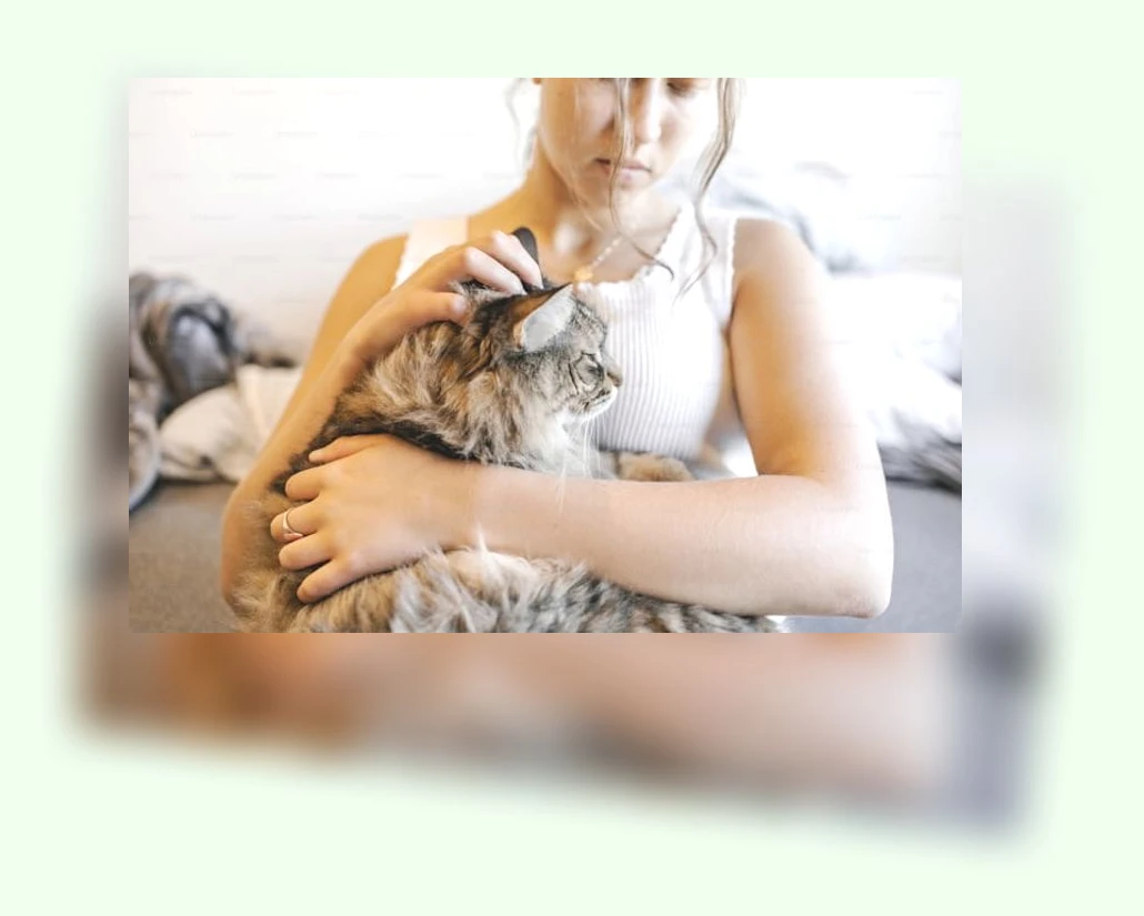 고양이 털빠짐 관리_1_subsection