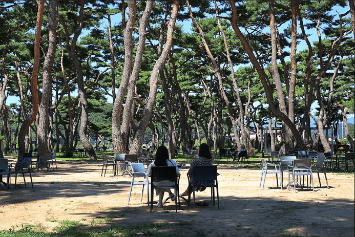 출처: 소울로스터리