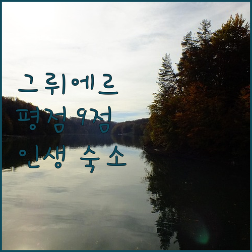 스위스 그뤼에르에서 평점 9점 넘는 ..