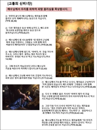 천주교 성모님과 함께하는 묵주 기도 빛의 신비 1단부터 5단까지_24