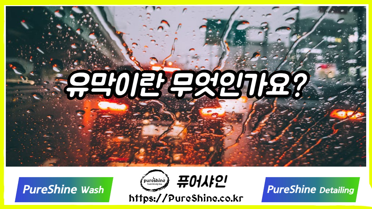 유막이란 무엇인가요?