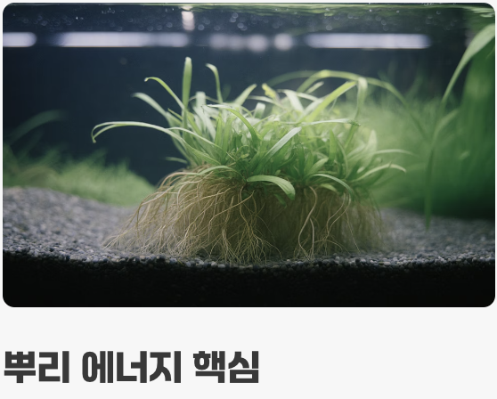 런너로 번식하는 '물속의 잔디밭'