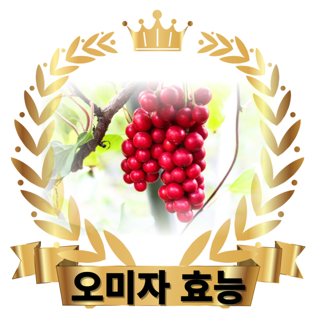 오미자와 관련된 사진입니다.