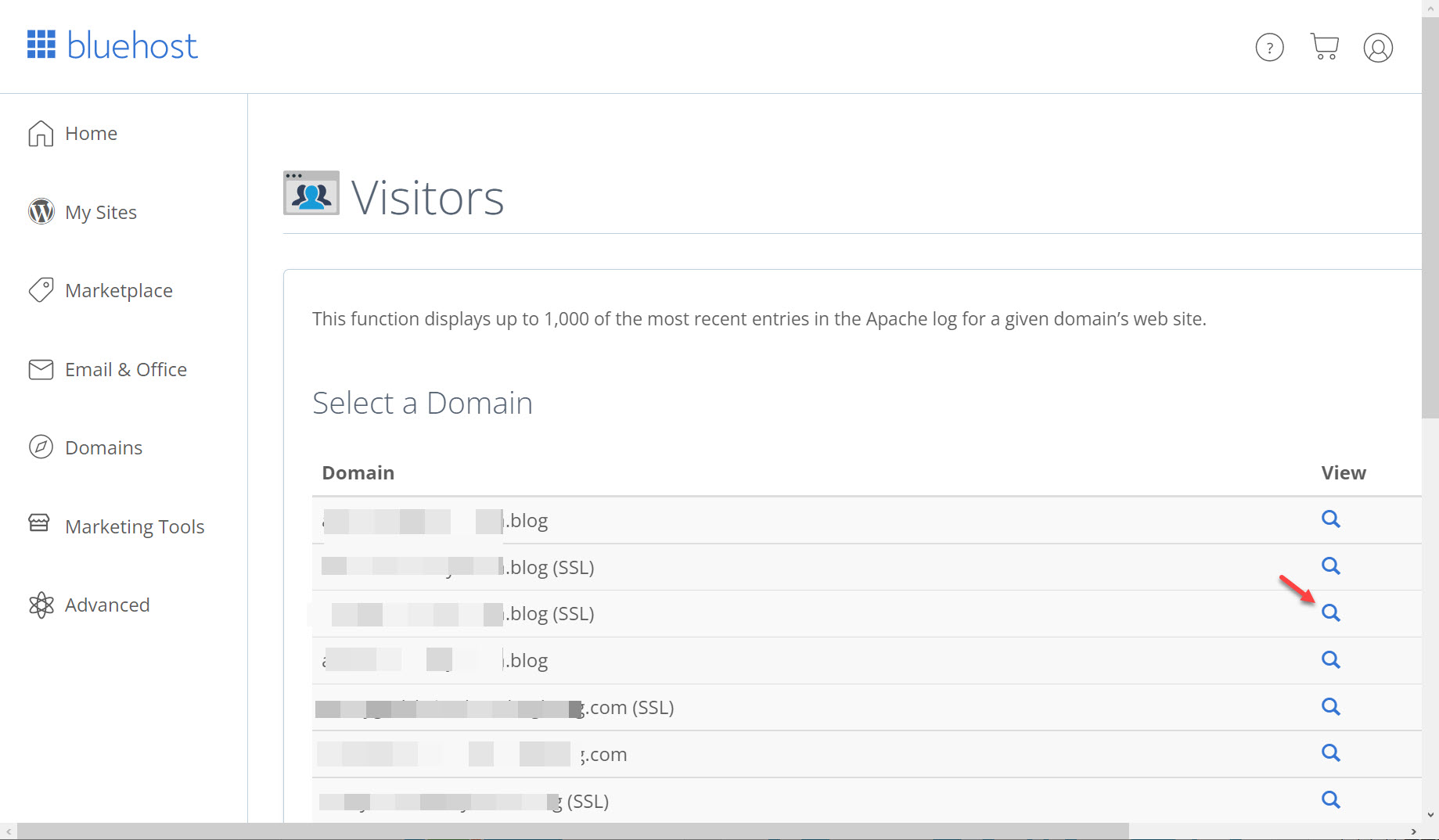 블루호스트에서 최근 방문자 IP 주소 확인하는 방법 (cPanel) - 사이트 선택