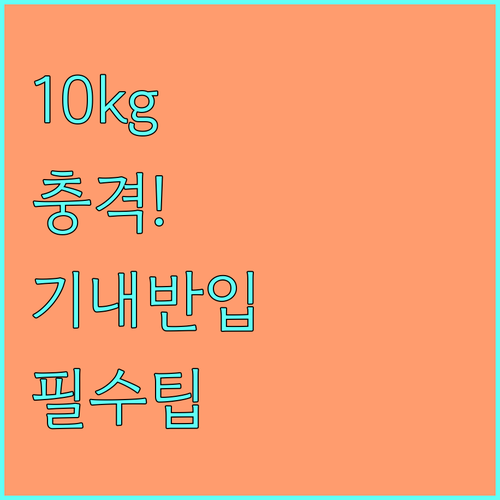 중국동방항공 기내 반입 수하물 규정 ..