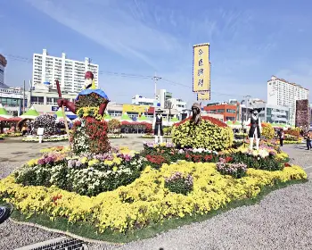 마산 가고파 국화축제_6