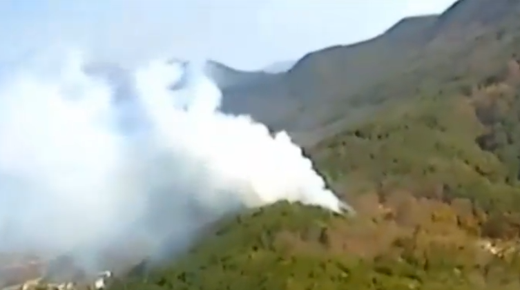 산불