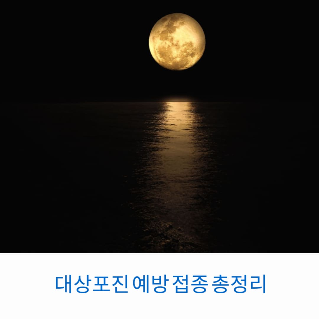 대상포진-예방-접종-총정리-썸네일