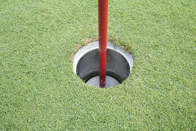 홀의 안쪽의 모습