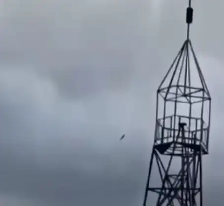 프리고진 비행기 추락 사진