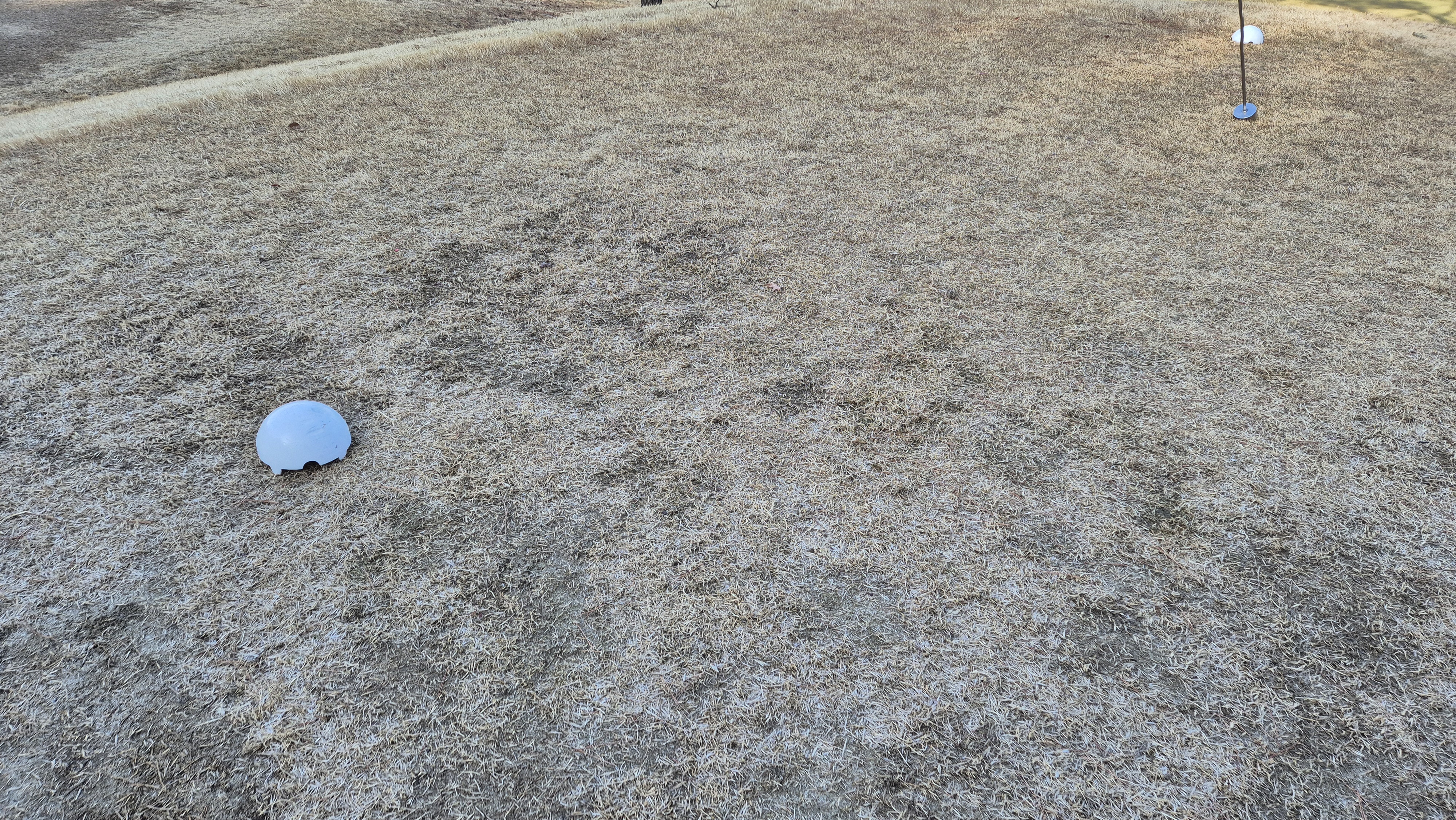 코리아cc 크리크-레이크 코스 티잉구역상태