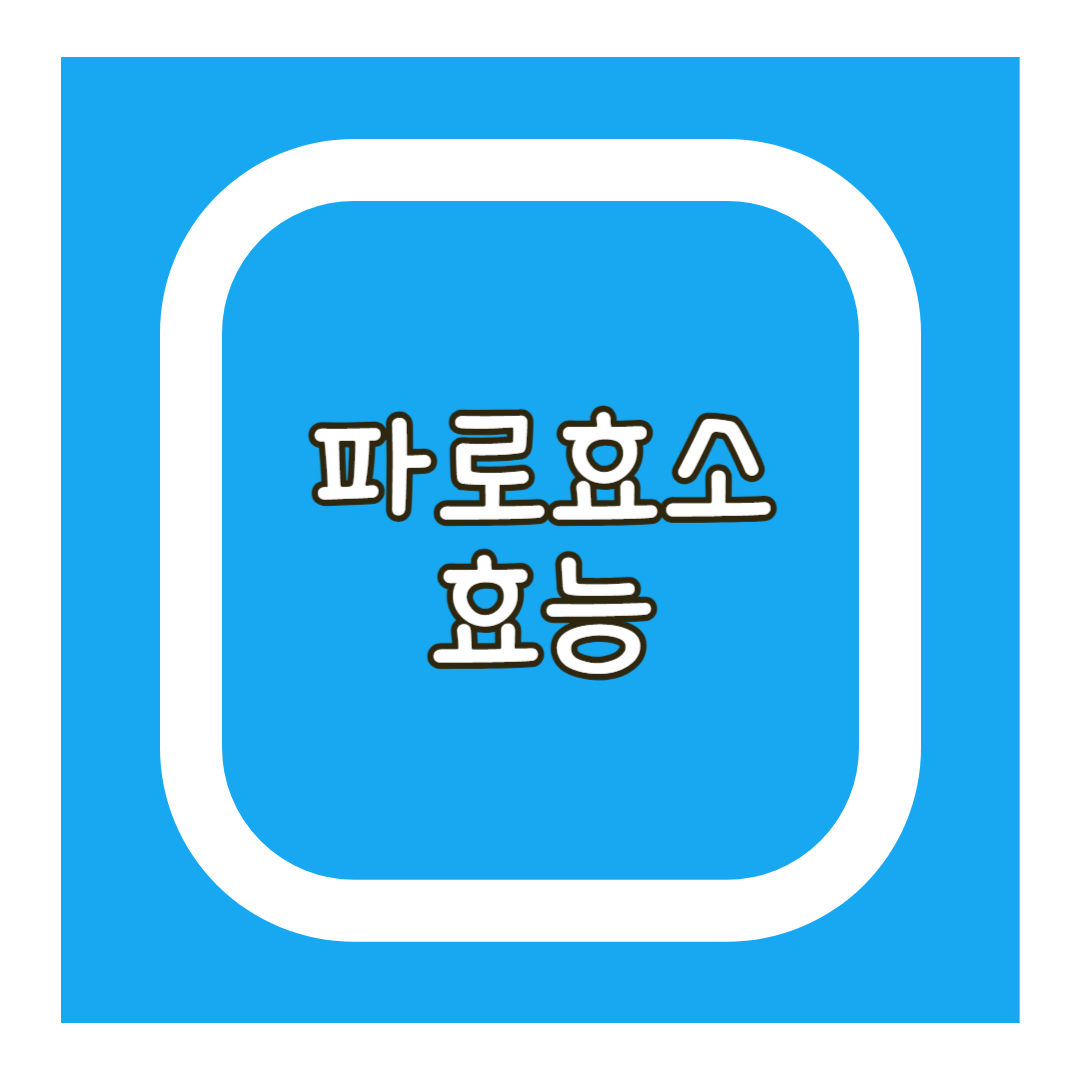 파로 효소 효능