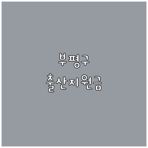 2025년 놓치면 손해, 부평구 출산..